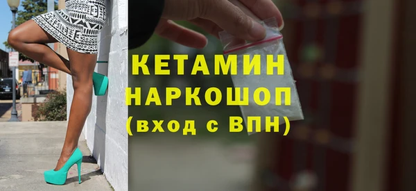 сатива Новодвинск