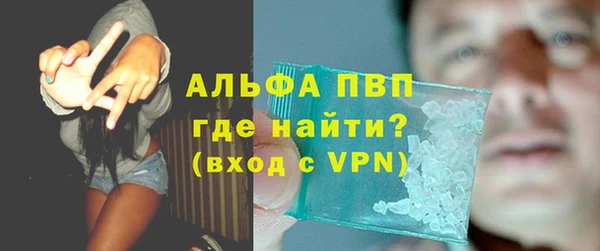 сатива Новодвинск