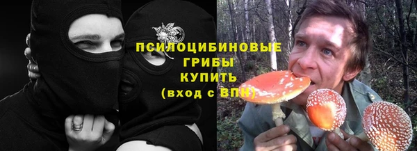 бошки Алексин