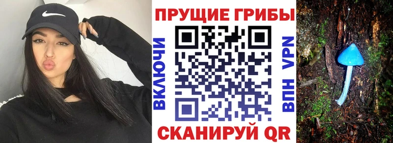 Псилоцибиновые грибы прущие грибы  OMG маркетплейс  Ступино 